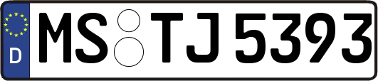 MS-TJ5393