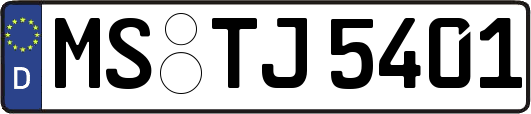 MS-TJ5401
