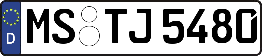 MS-TJ5480