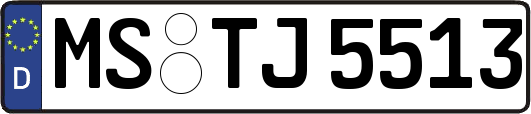 MS-TJ5513