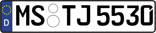 MS-TJ5530