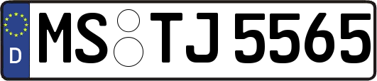 MS-TJ5565