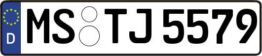 MS-TJ5579