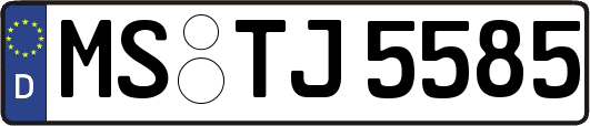 MS-TJ5585