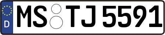 MS-TJ5591