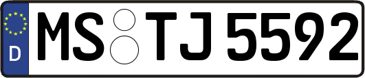 MS-TJ5592