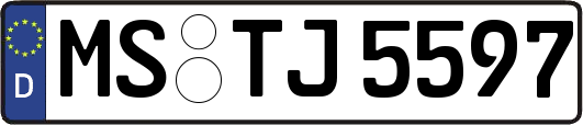 MS-TJ5597