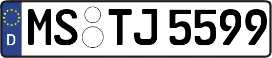 MS-TJ5599