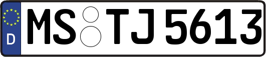 MS-TJ5613
