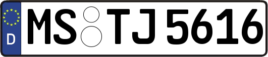 MS-TJ5616