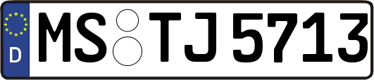 MS-TJ5713