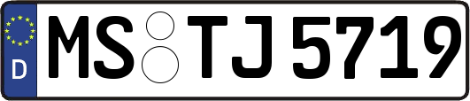 MS-TJ5719