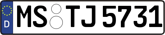 MS-TJ5731