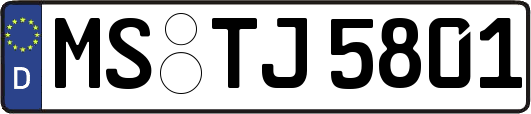 MS-TJ5801