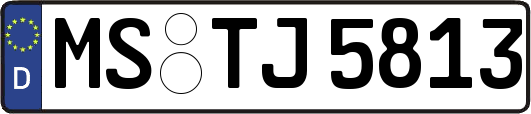 MS-TJ5813
