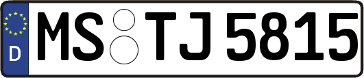 MS-TJ5815