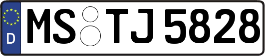 MS-TJ5828
