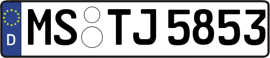 MS-TJ5853