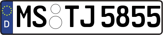 MS-TJ5855