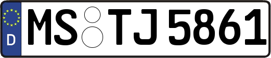 MS-TJ5861