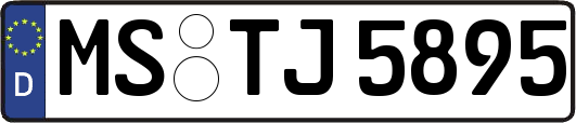 MS-TJ5895
