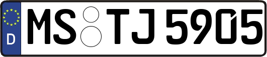 MS-TJ5905