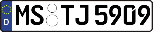 MS-TJ5909