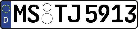 MS-TJ5913