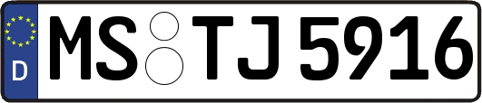 MS-TJ5916