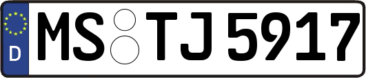 MS-TJ5917
