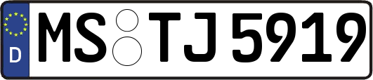 MS-TJ5919