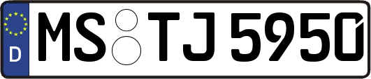 MS-TJ5950