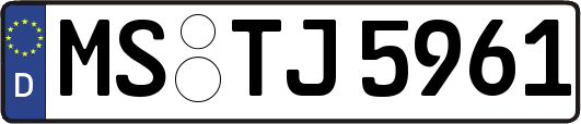MS-TJ5961