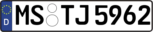 MS-TJ5962