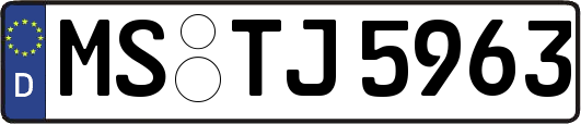 MS-TJ5963