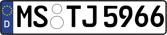 MS-TJ5966