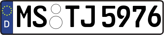 MS-TJ5976