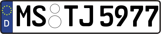 MS-TJ5977