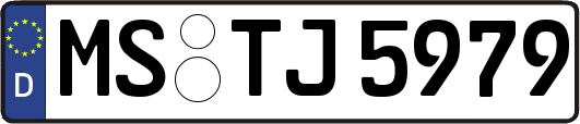 MS-TJ5979