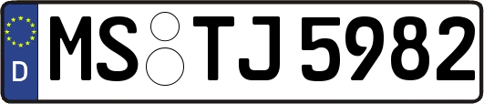 MS-TJ5982