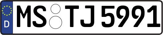 MS-TJ5991
