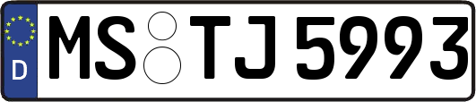 MS-TJ5993