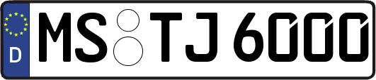 MS-TJ6000