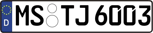 MS-TJ6003