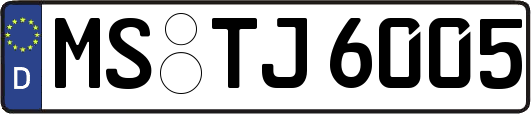 MS-TJ6005