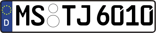 MS-TJ6010