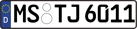 MS-TJ6011