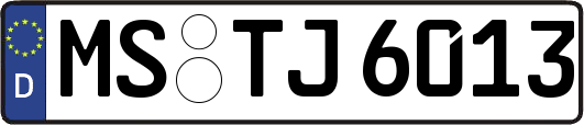 MS-TJ6013