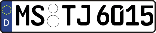 MS-TJ6015