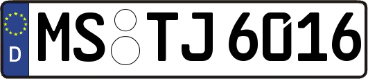 MS-TJ6016